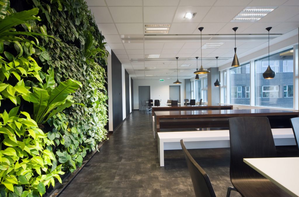 Environment Working Place Environmentally Conscious Workplace - Nature365