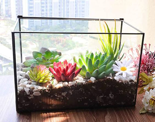 Various Ways to Reuse Your Fish Tank - Nature365